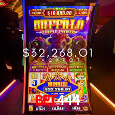 Experiência VIP bet444