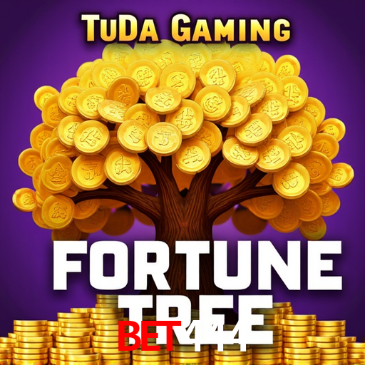 A Experiência Imersiva dos Cassinos Ao Vivo no bet444